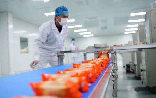 总投资60亿元,浏阳这个大项目快速推进,一期为教育板块,依托湖南师大师资力量 建设