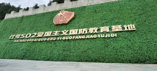 百城千县万村调研行|安徽岳西大歇村:绿水青山留住远方客人