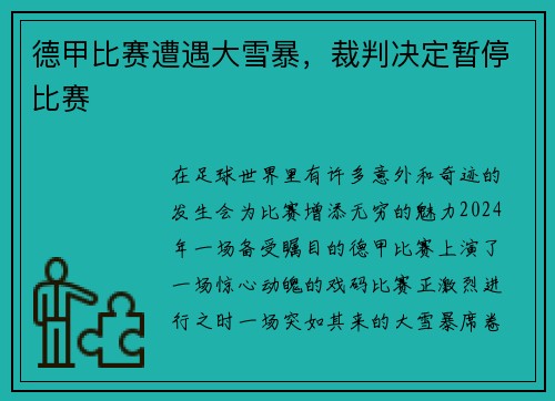 德甲比赛遭遇大雪暴，裁判决定暂停比赛