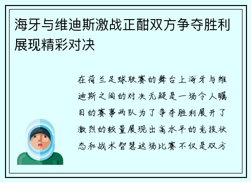 海牙与维迪斯激战正酣双方争夺胜利展现精彩对决