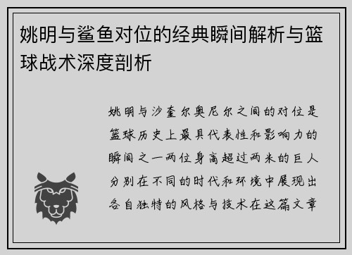 姚明与鲨鱼对位的经典瞬间解析与篮球战术深度剖析