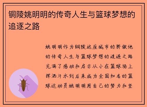 铜陵姚明明的传奇人生与篮球梦想的追逐之路